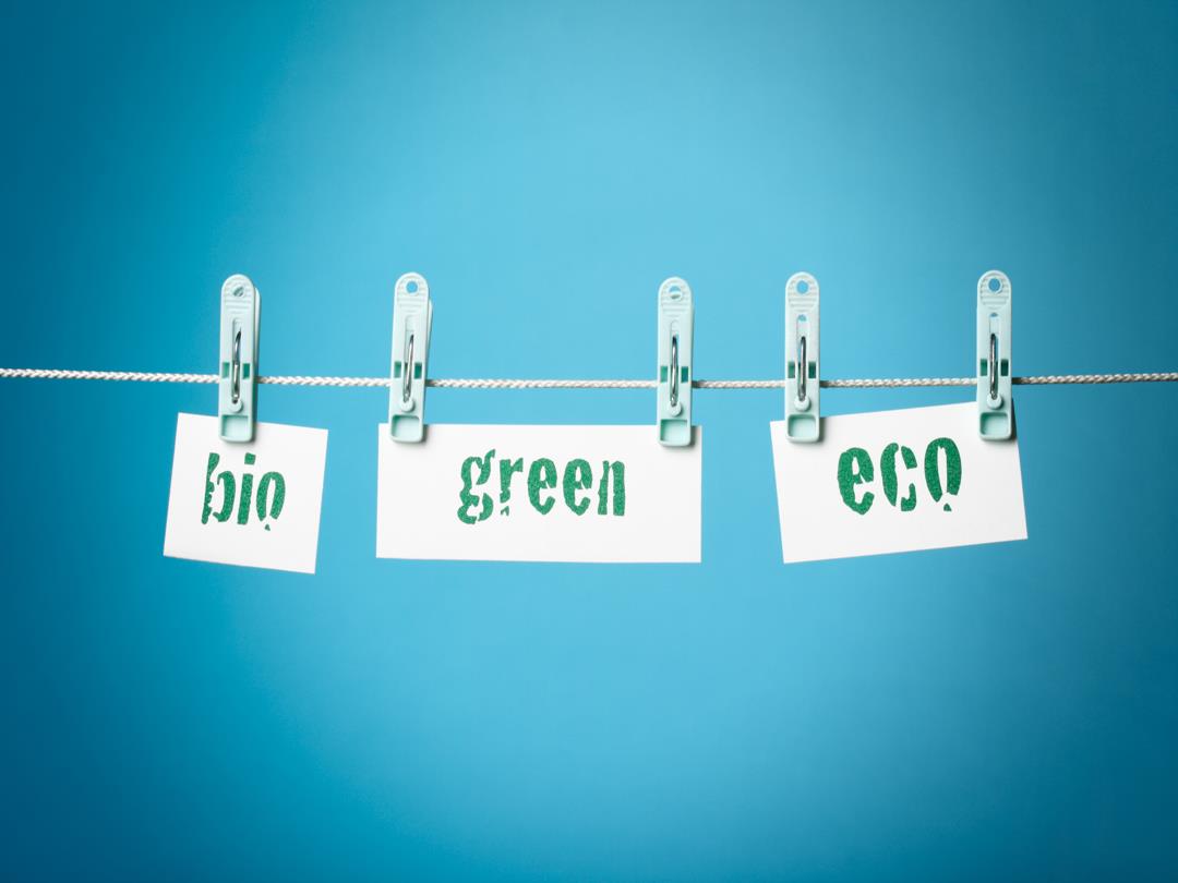 Greenwashing.jpg