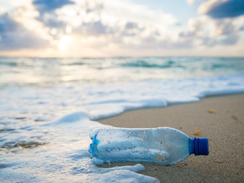 singleuseplastic111019.jpg
