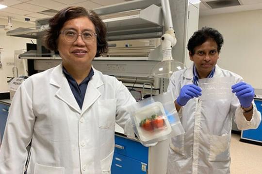 Scientists pose with the materials