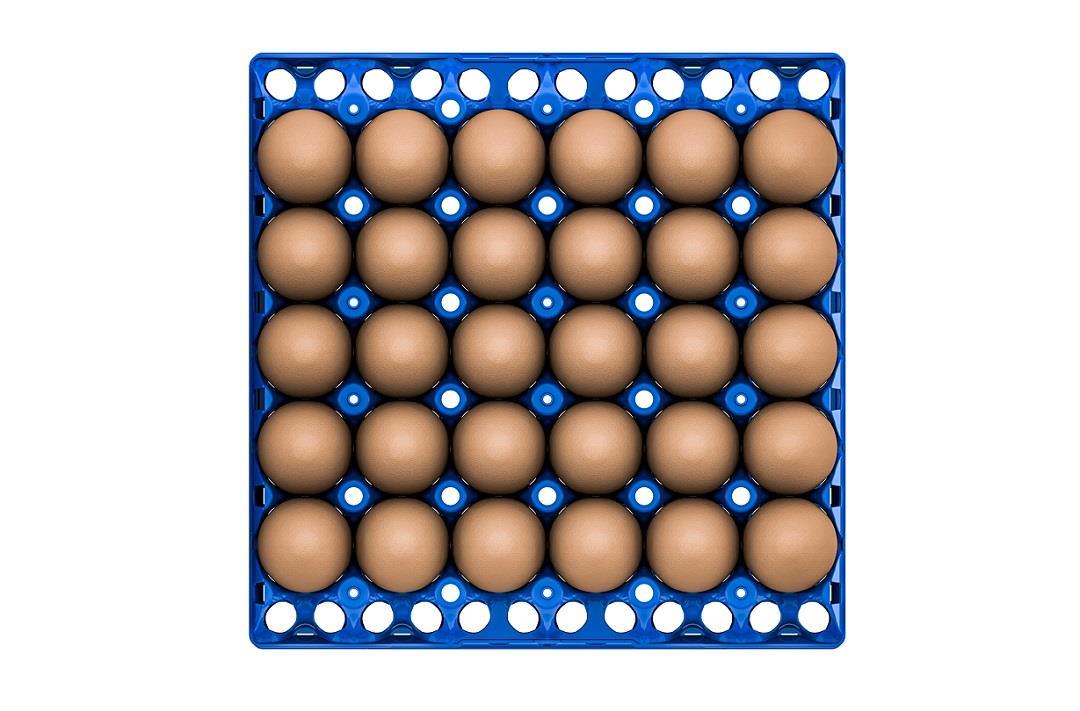 EggsCargo_270617.jpg