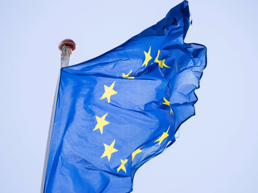PE_EU_Flag (7)