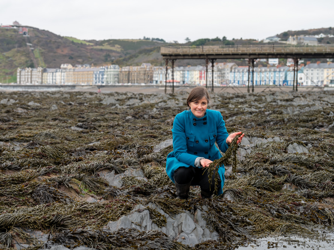 Aberystwyth University - Dr Jessica Adams