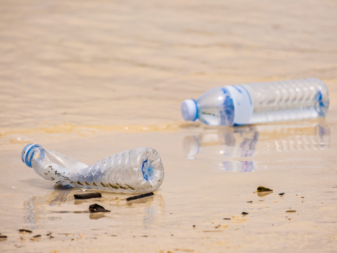 PE_Bottles_on_Beach