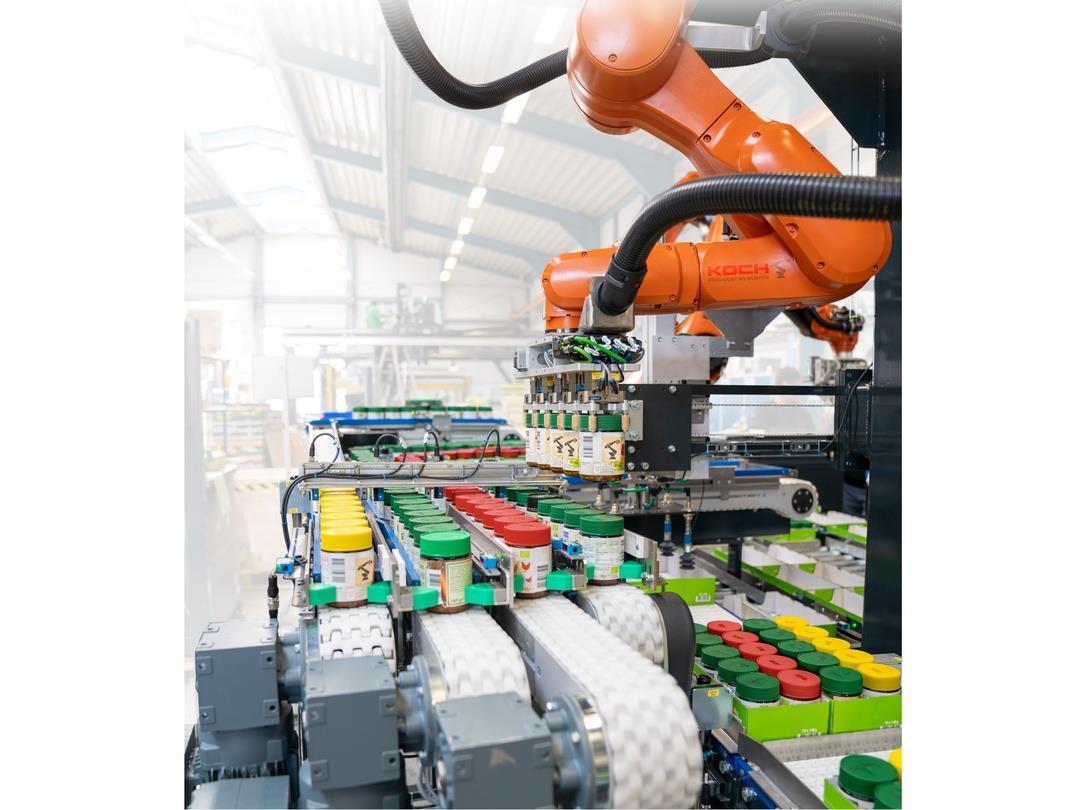 KOCH robotic system