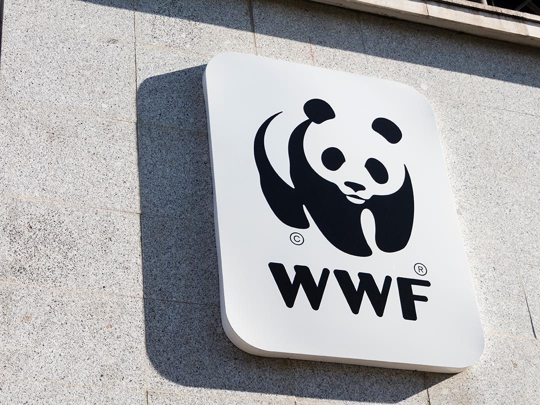 WWF