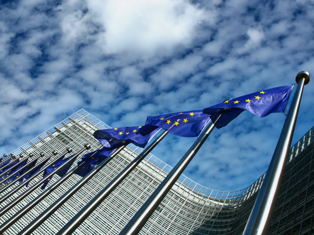 PE_EU_Flags (19)