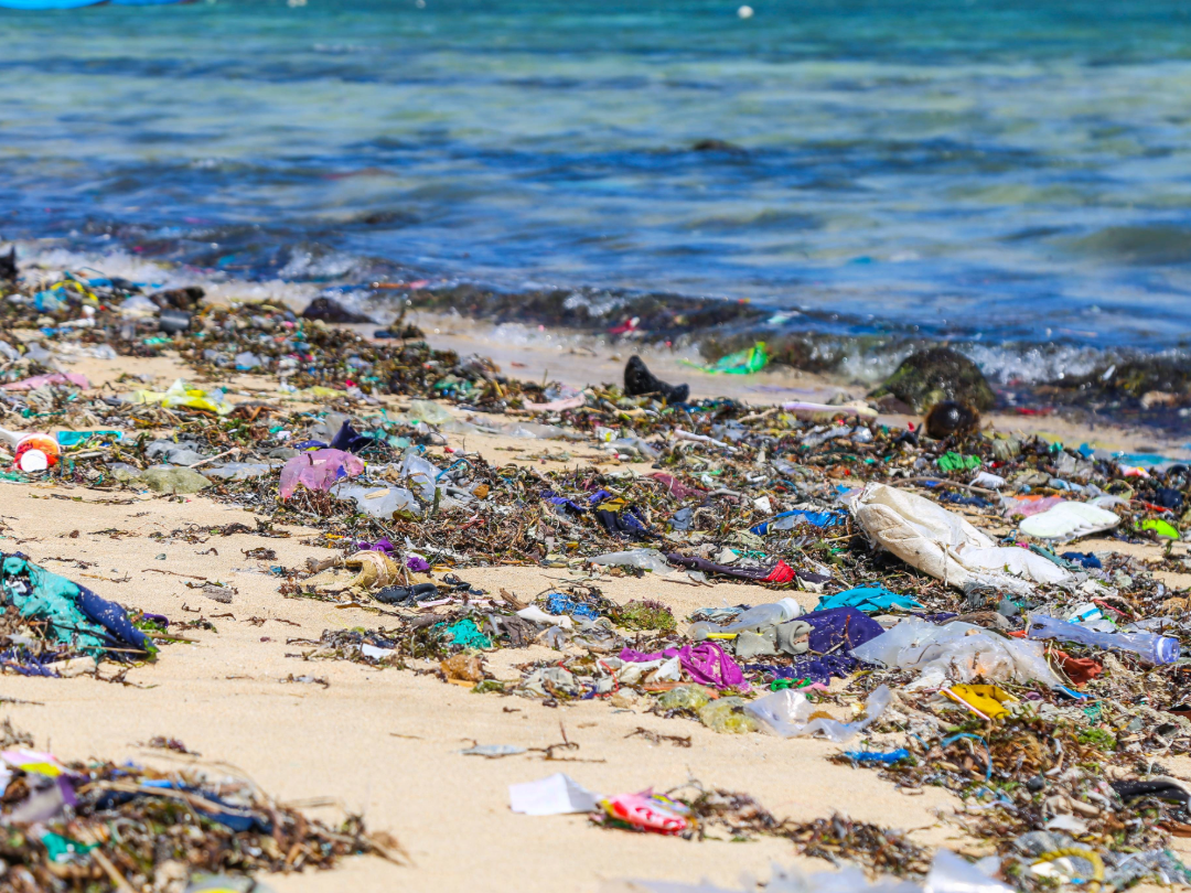PE_Waste_on_Beach (3)