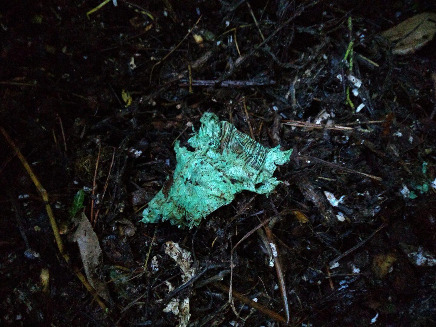 A close up of a fragment of a green plastic bag in a pile of home compost. It is large enough that a horizontal half of a bar code remains visible.