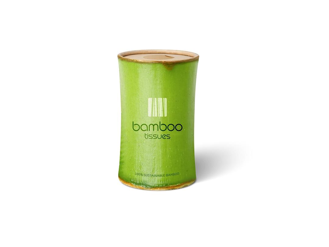 bamboo2_060819.jpg