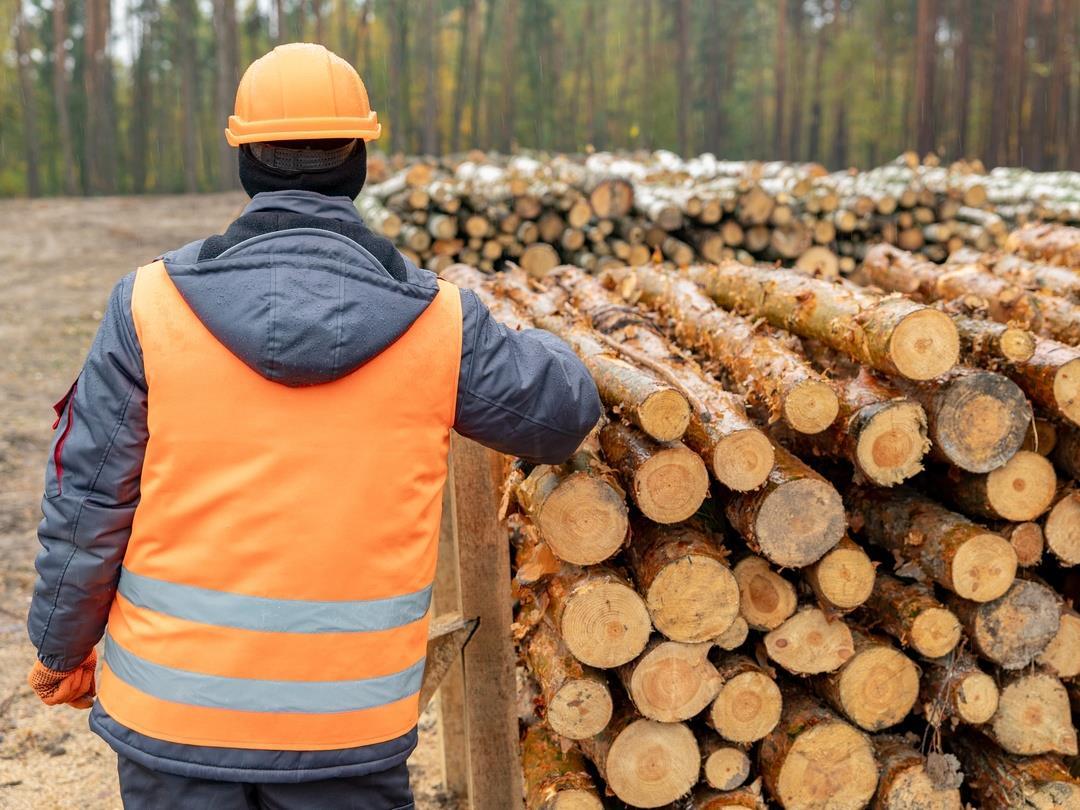 PE_Lumber (2)