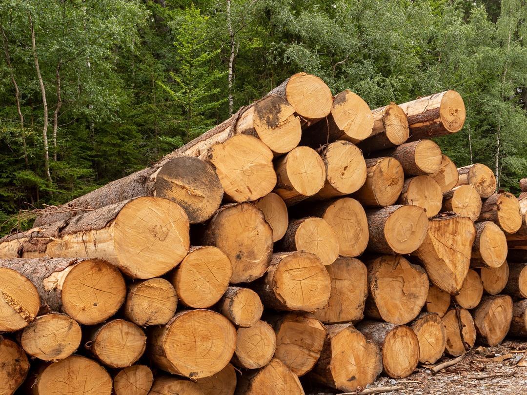 PE_Spruce_Wood
