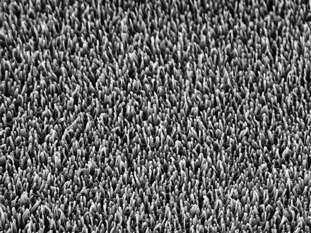 antibacterial-nanotexture-28.03