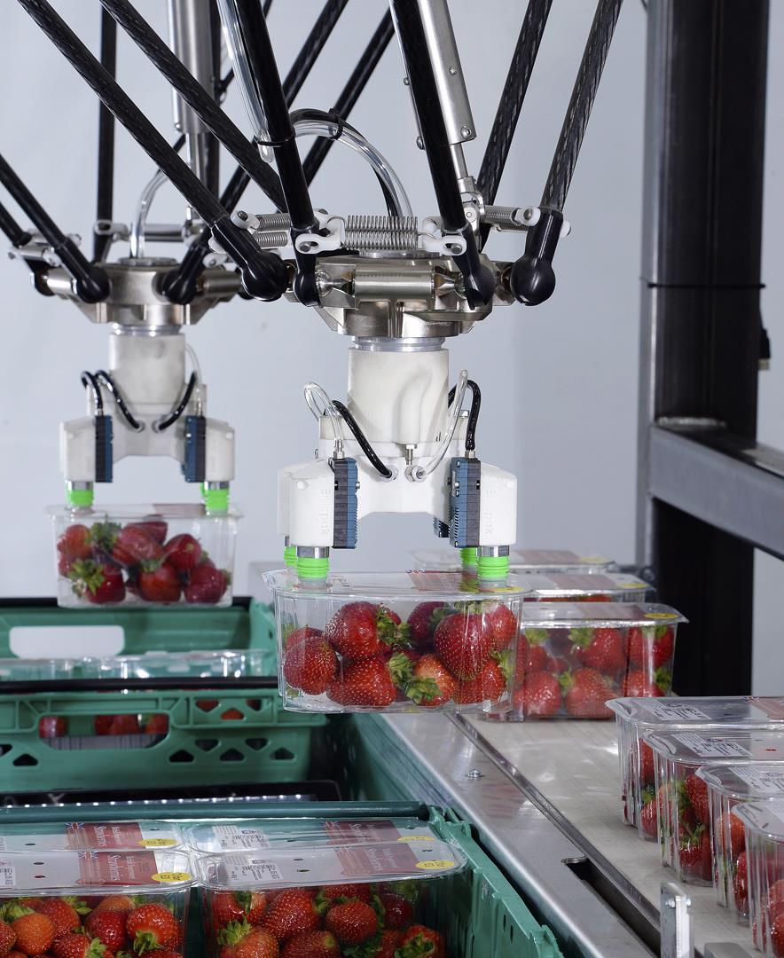 Automation softens Brexit impact 2 resized.jpg