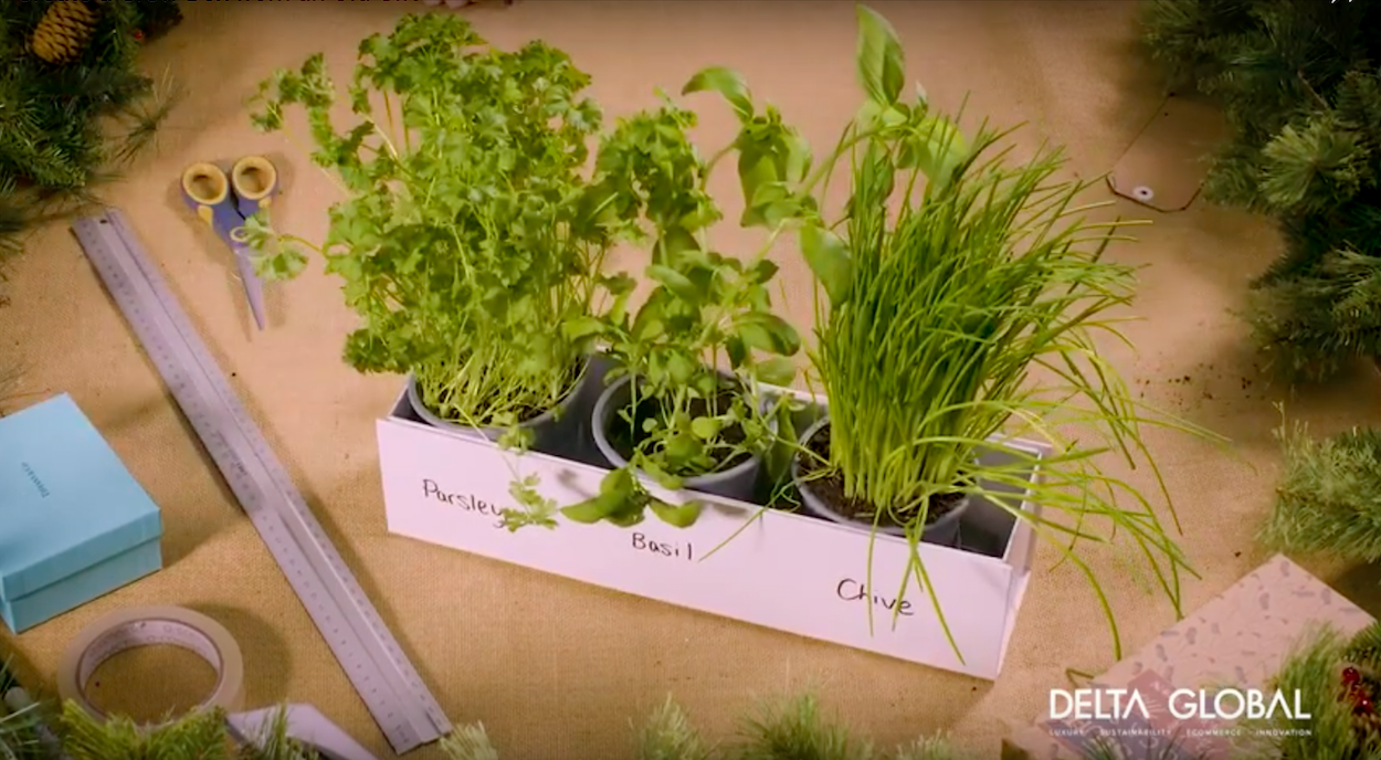 WindowsillHerbPlanter (002).png