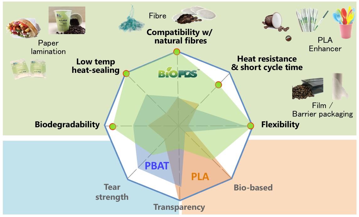 Figure 1.jpg