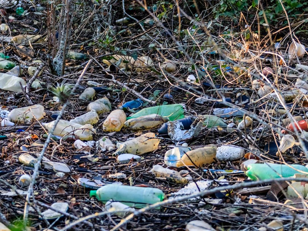 Plastic bottles have been littered amongst the bark, twigs, and weeds on a woodland ground.