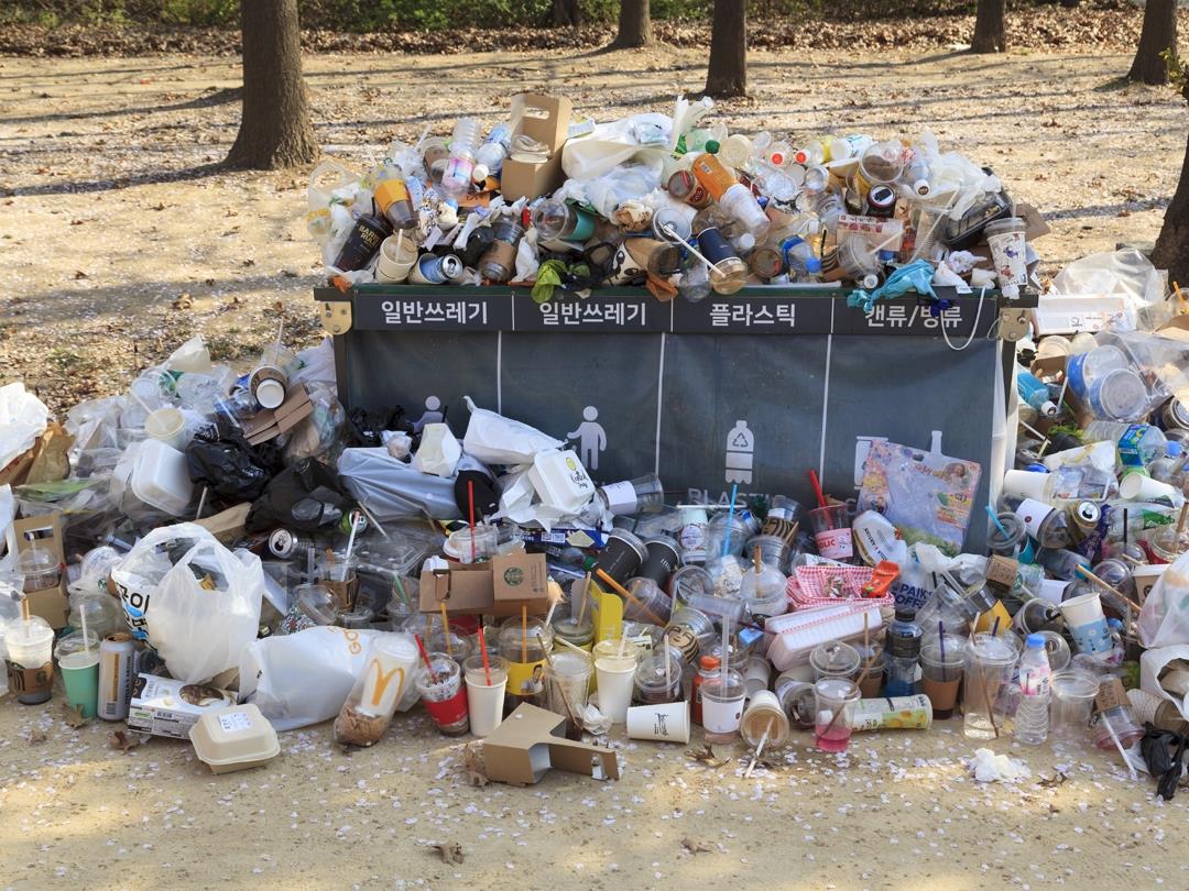 busan2