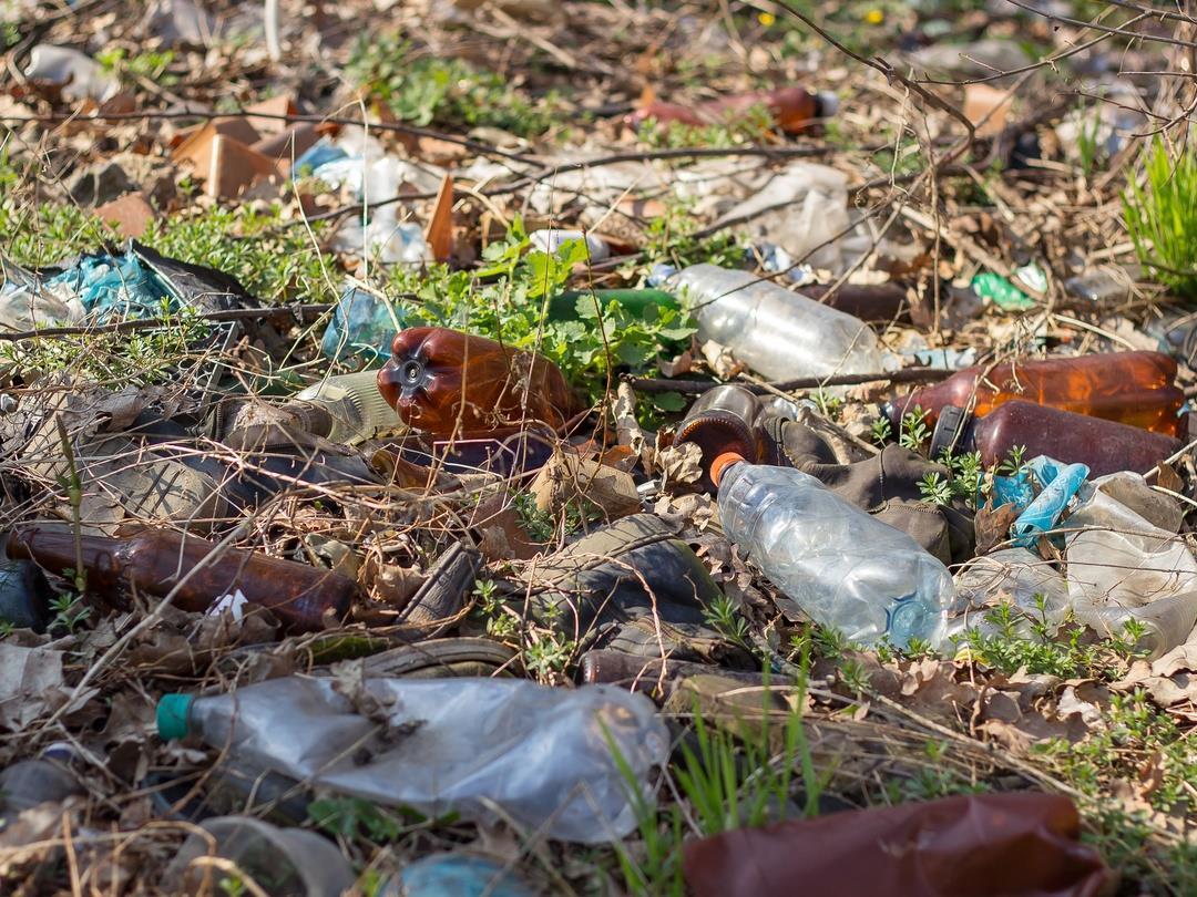 PE_Bottles_in_Environment