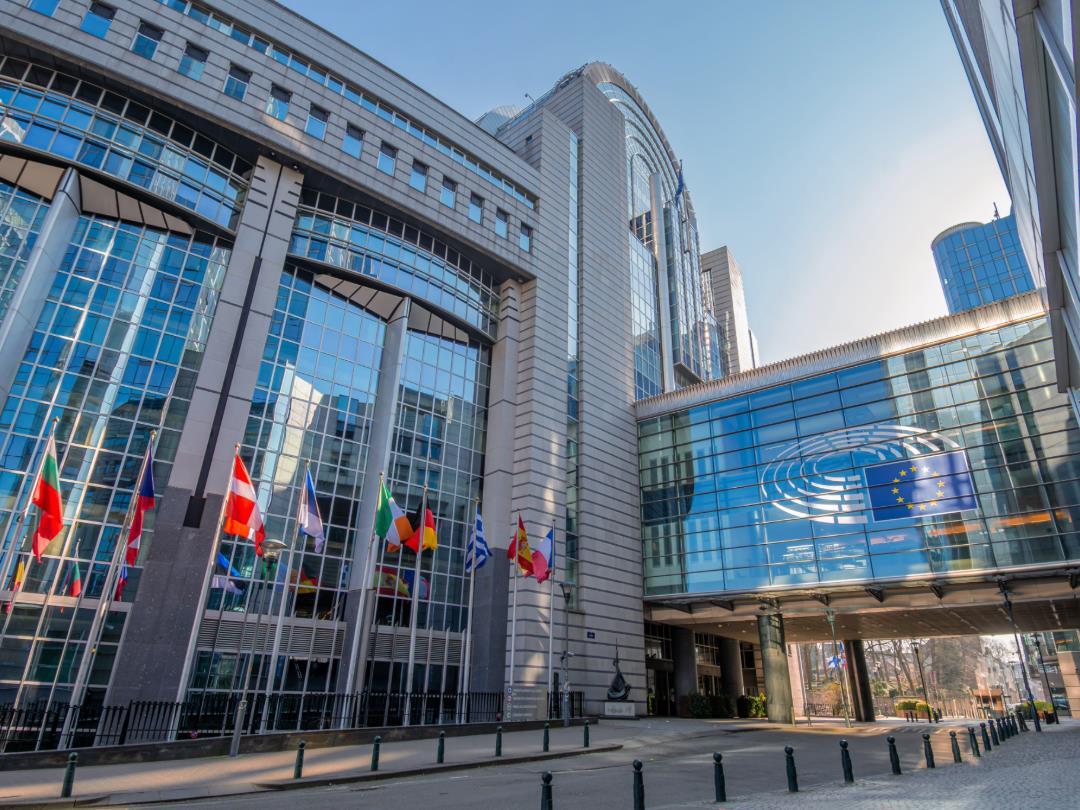 Flags of various EU countries in front of the European Parliament building in Brussels, Belgium.