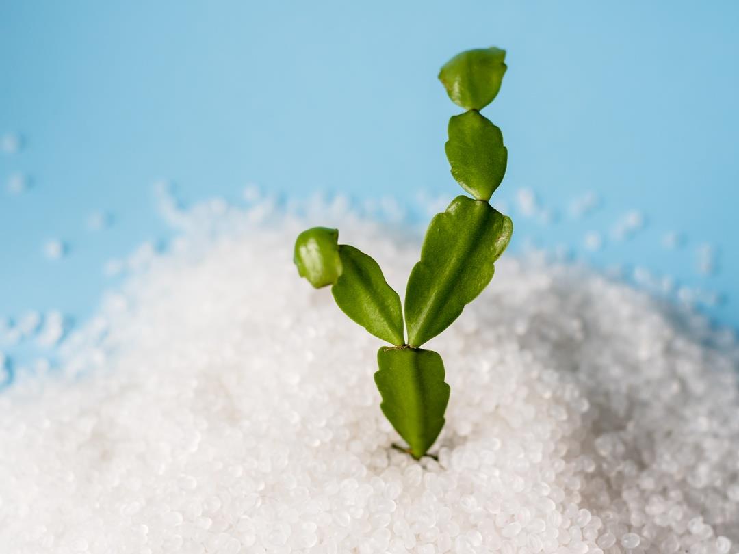 PE_Bioplastic (3)