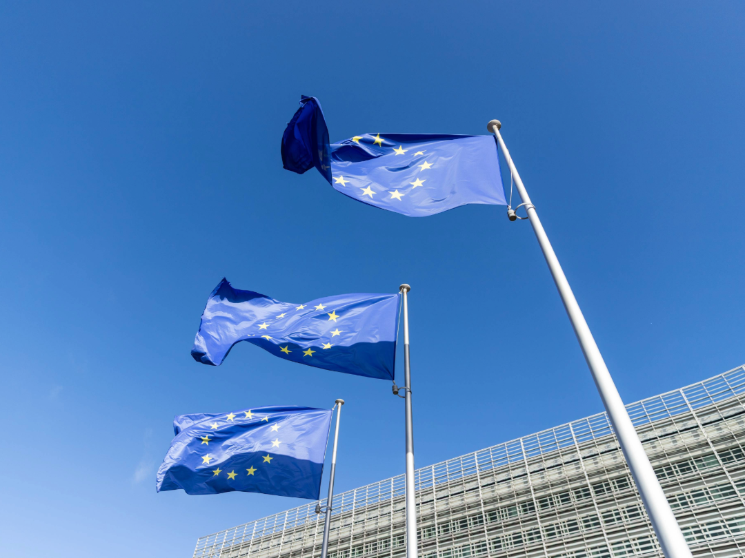 PE_EU_Flags (11)