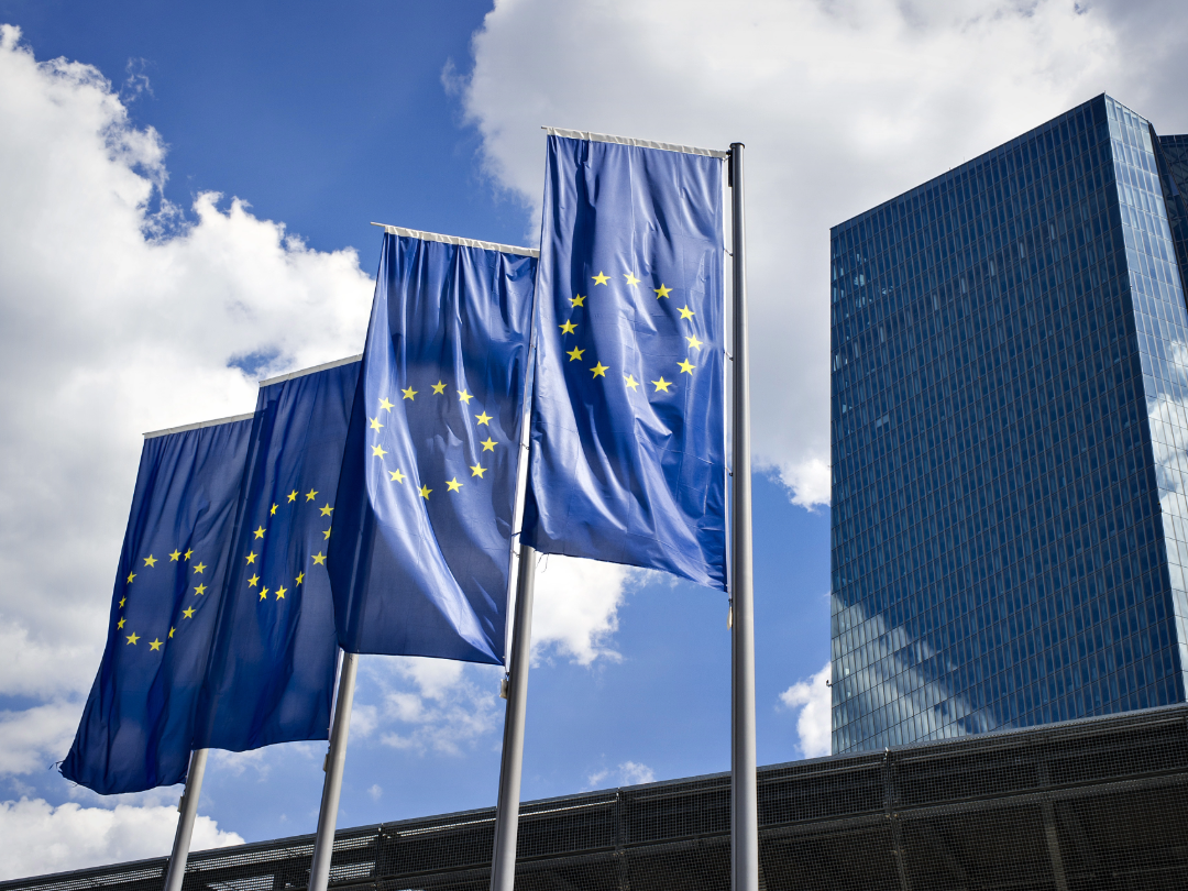 PE_EU_Flags (12)