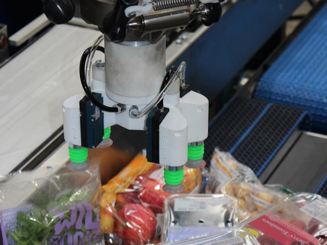 Automation softens impact of hard Brexit resized 2.jpg