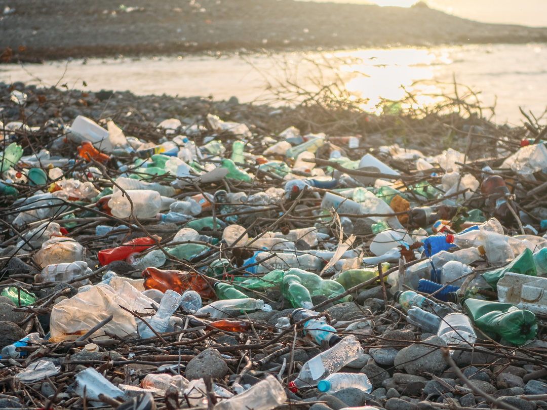 PE_Pollution_On_Beach (2)