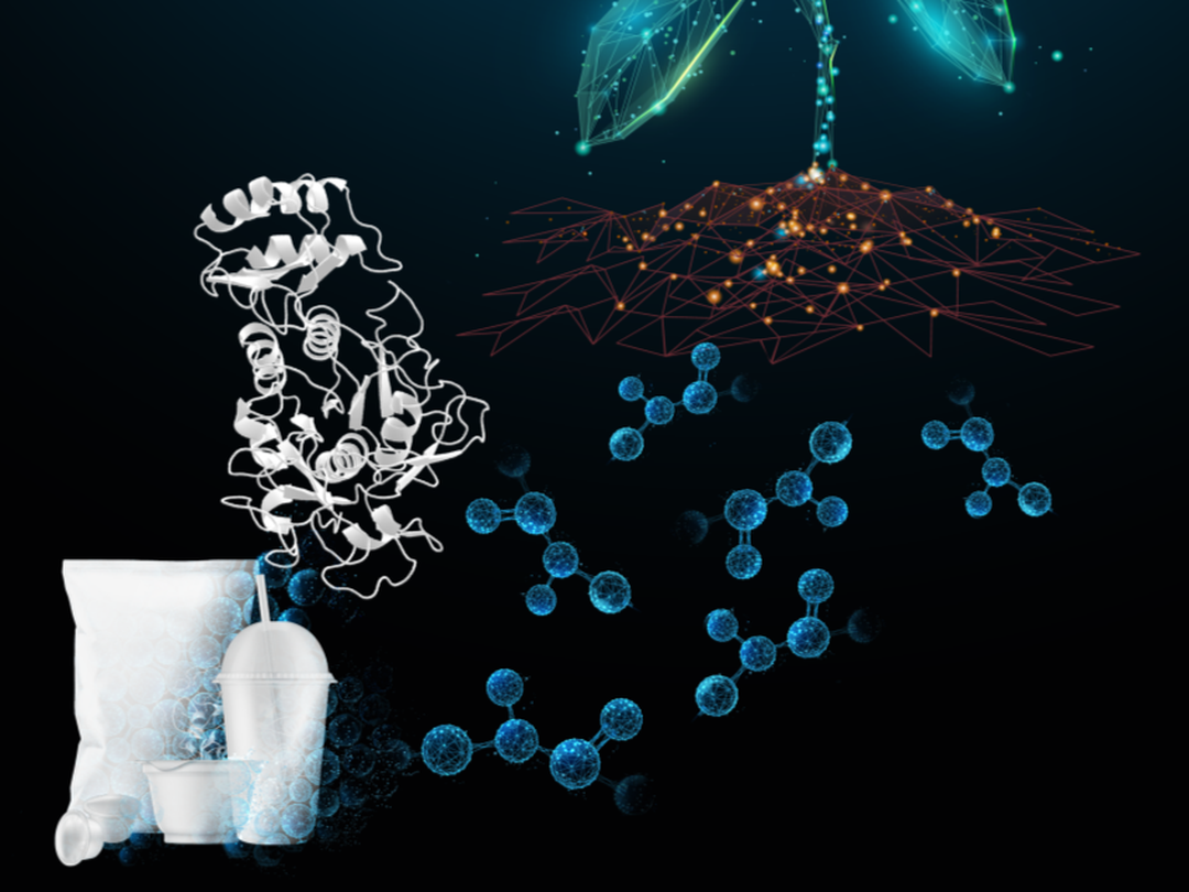 PE_Carbios_Enzyme