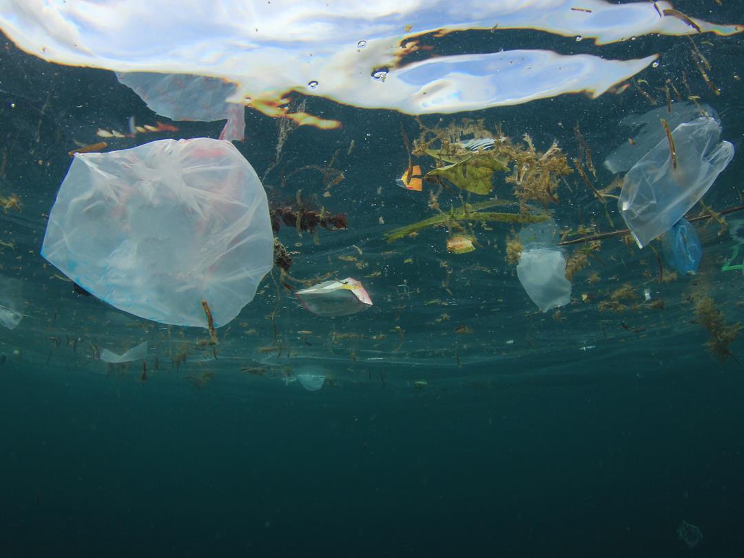 marine litter resized.jpg