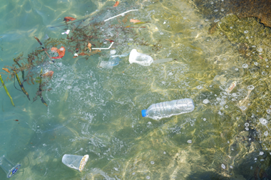 PE_Ocean_Pollution