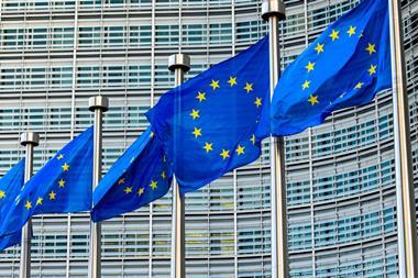 PE_EU_Commission_Flags