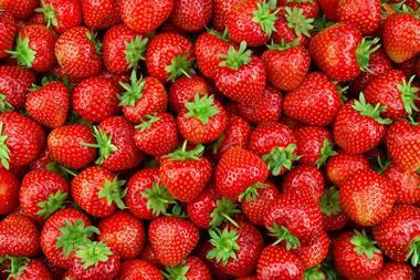 PE_Strawberries