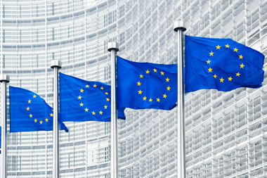 EU flags