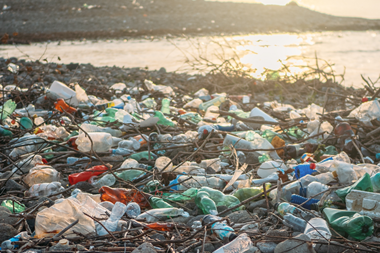 PE_Pollution_On_Beach (2)