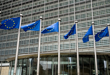 PE_EU_Flags (15)