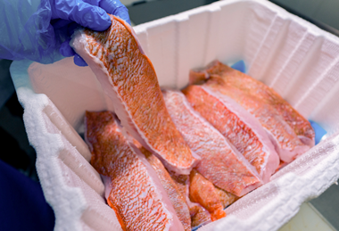 PE_Papacks_Fibre_Box