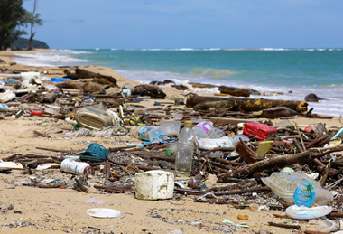 PE_Plastic_Pollution_on_Beach