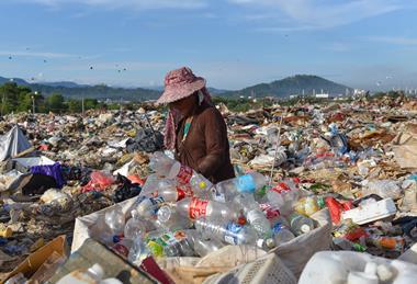 plasticcollectio
