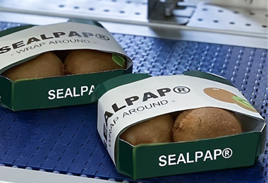 sealpap-wrap