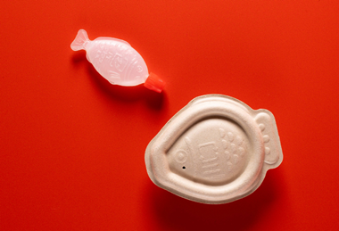 PE_Heliograf_Holy_Carp