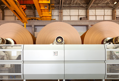 PE_Paper_Mill