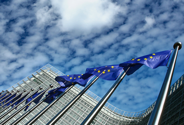 PE_EU_Flags (19)