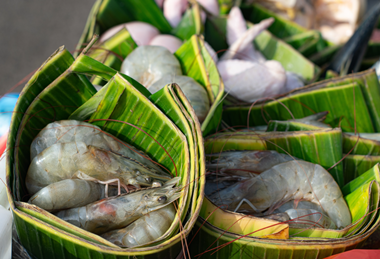 PE_Banana_Leaves