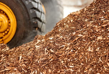 PE_Wood_Biomass