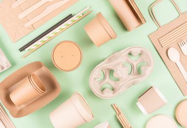 shutterstock_2216555443-2