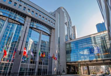 Flags of various EU countries in front of the European Parliament building in Brussels, Belgium.