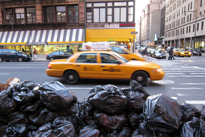 PE_NY_Bin_Bags
