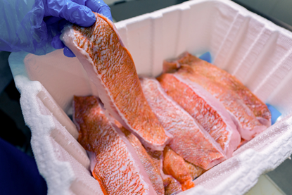 PE_Papacks_Fibre_Box