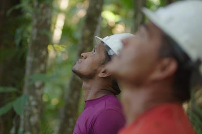 Two men wearing hard hats in a forest looking up into the sky
